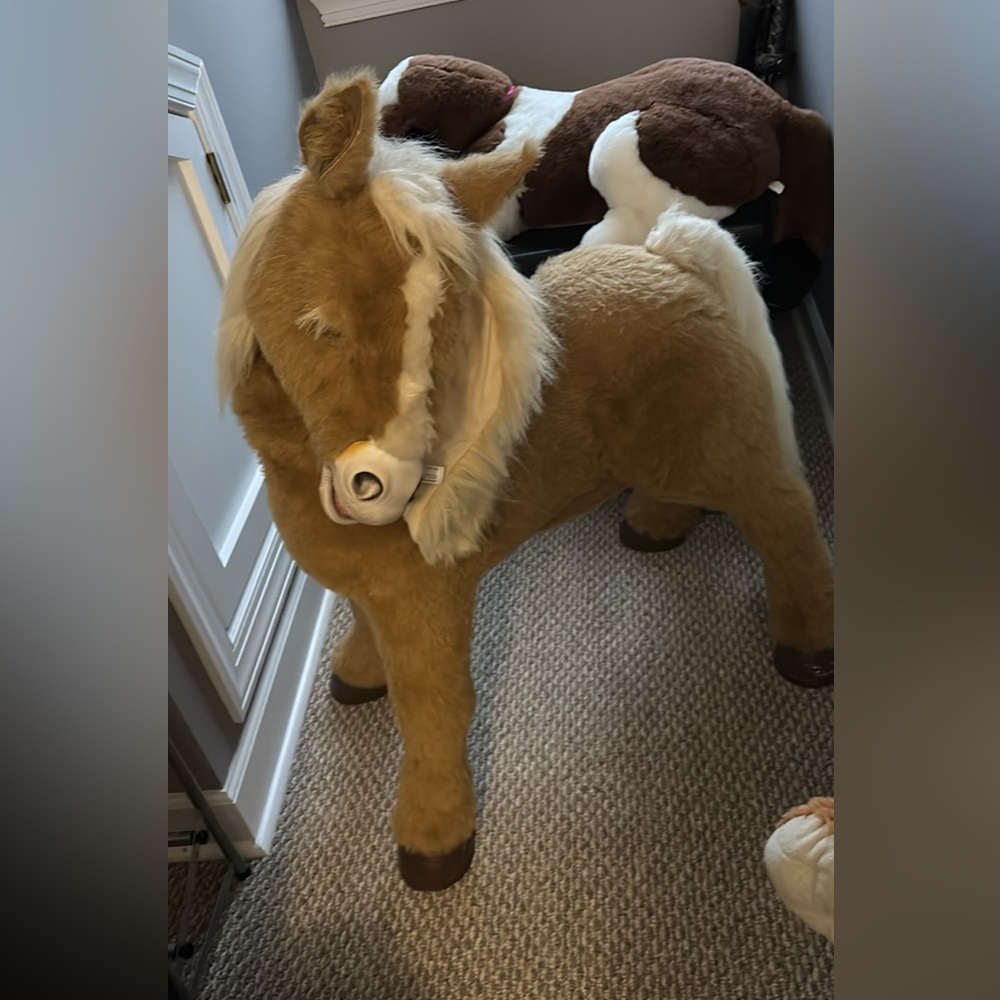 Fur real pony